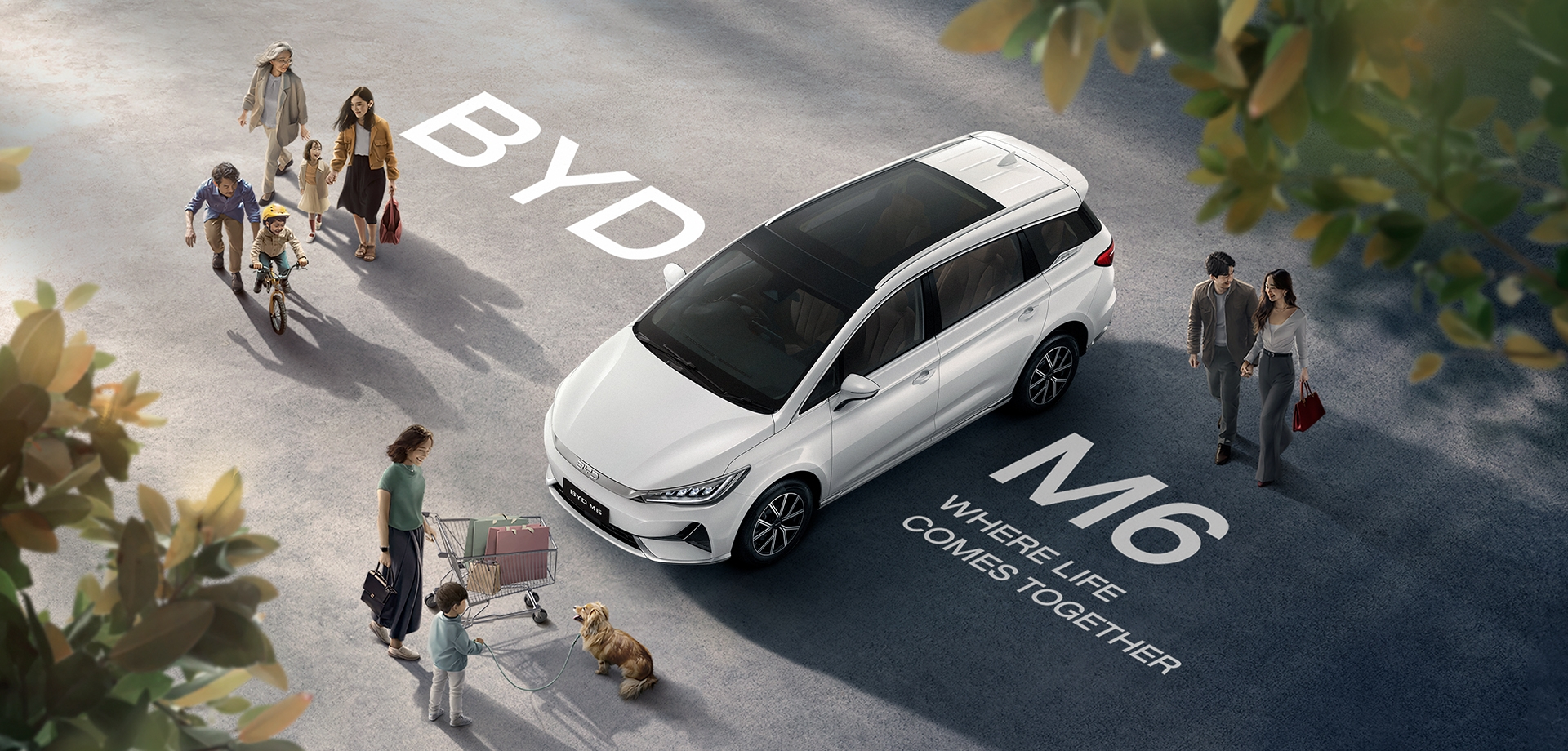 BYD M6
