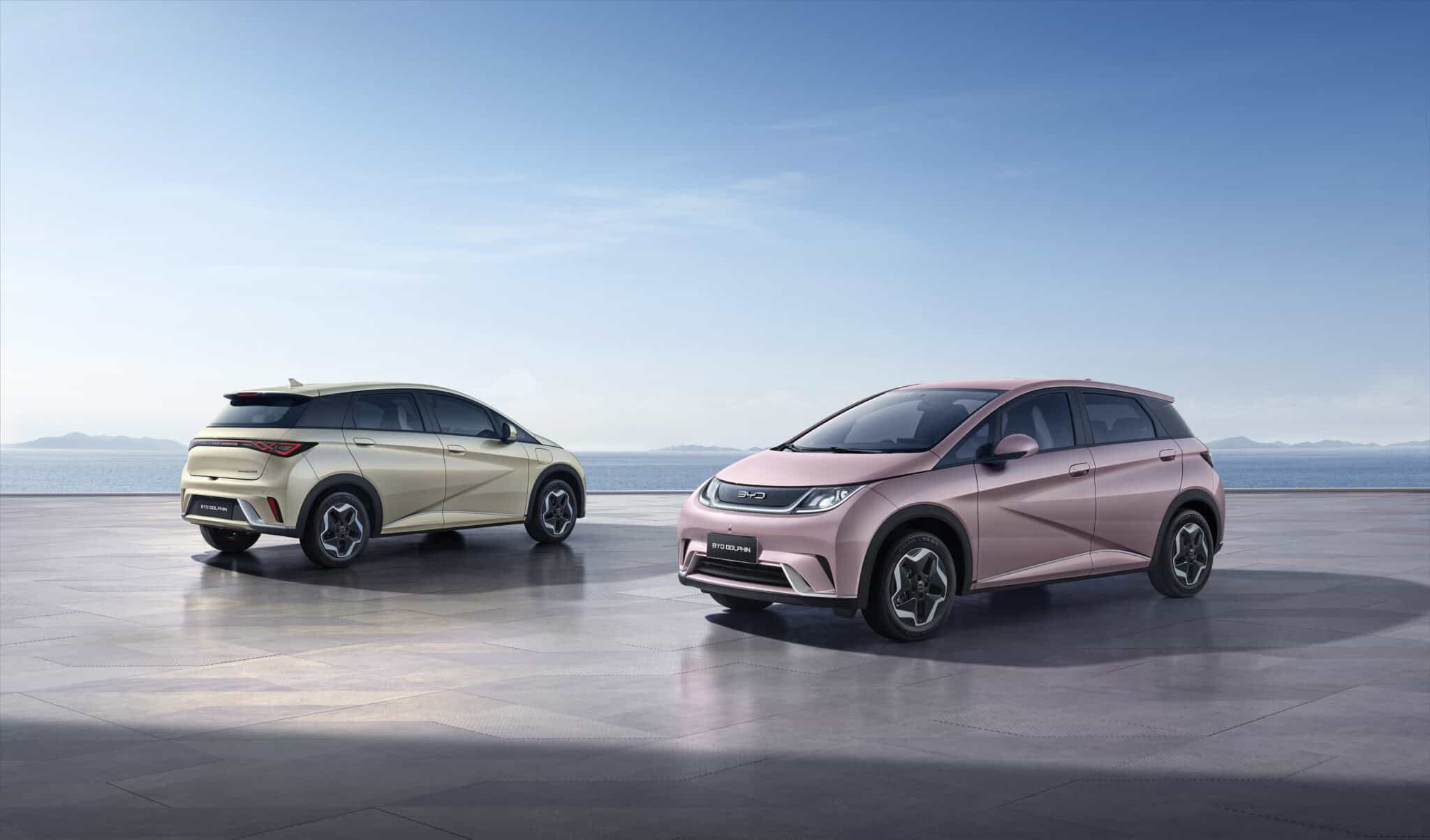 BYD Dolphin Banner