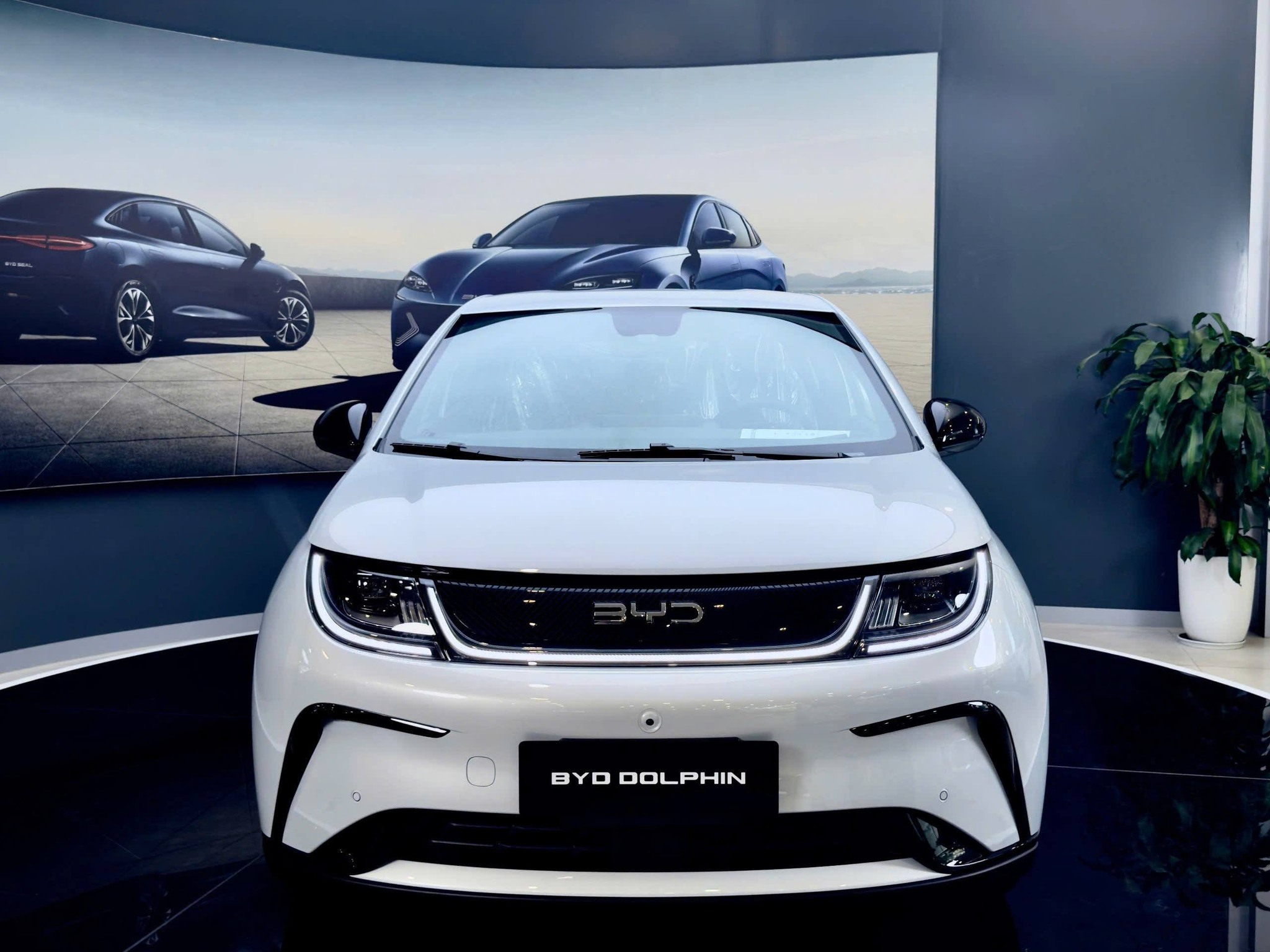 BYD Dolphin màu trắng 2026 nhập Thái