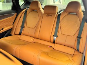 BYD Han: Khoang hành khách