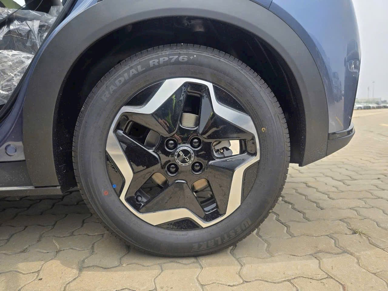 Dolphin 2026 nhập thái lan