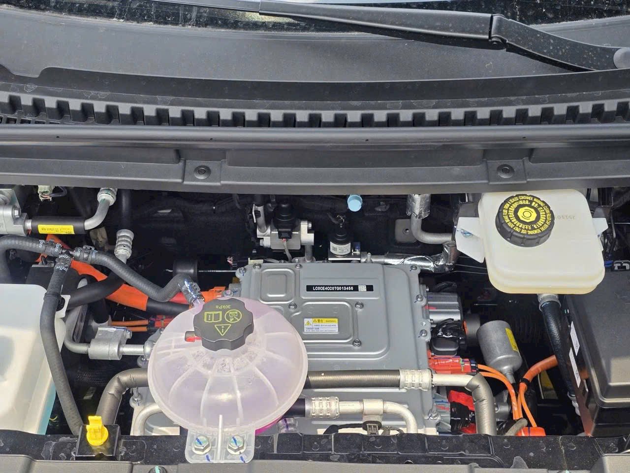 Dolphin 2026 nhập thái lan